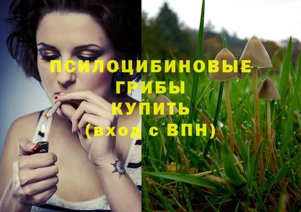 молекула духа Вязники