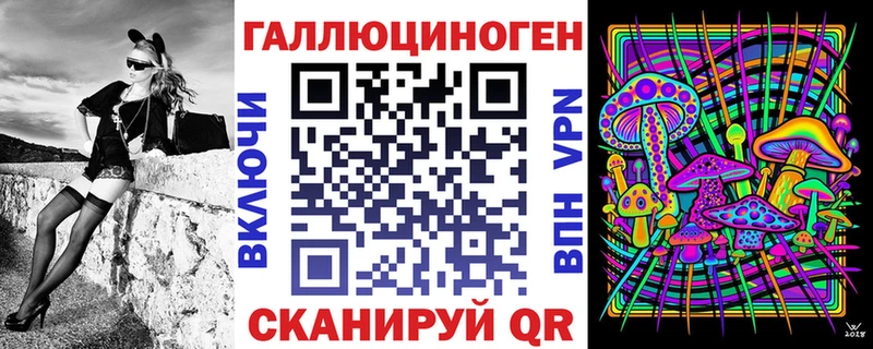 Купить  Кириши  Псилоцибиновые грибы Cubensis 
